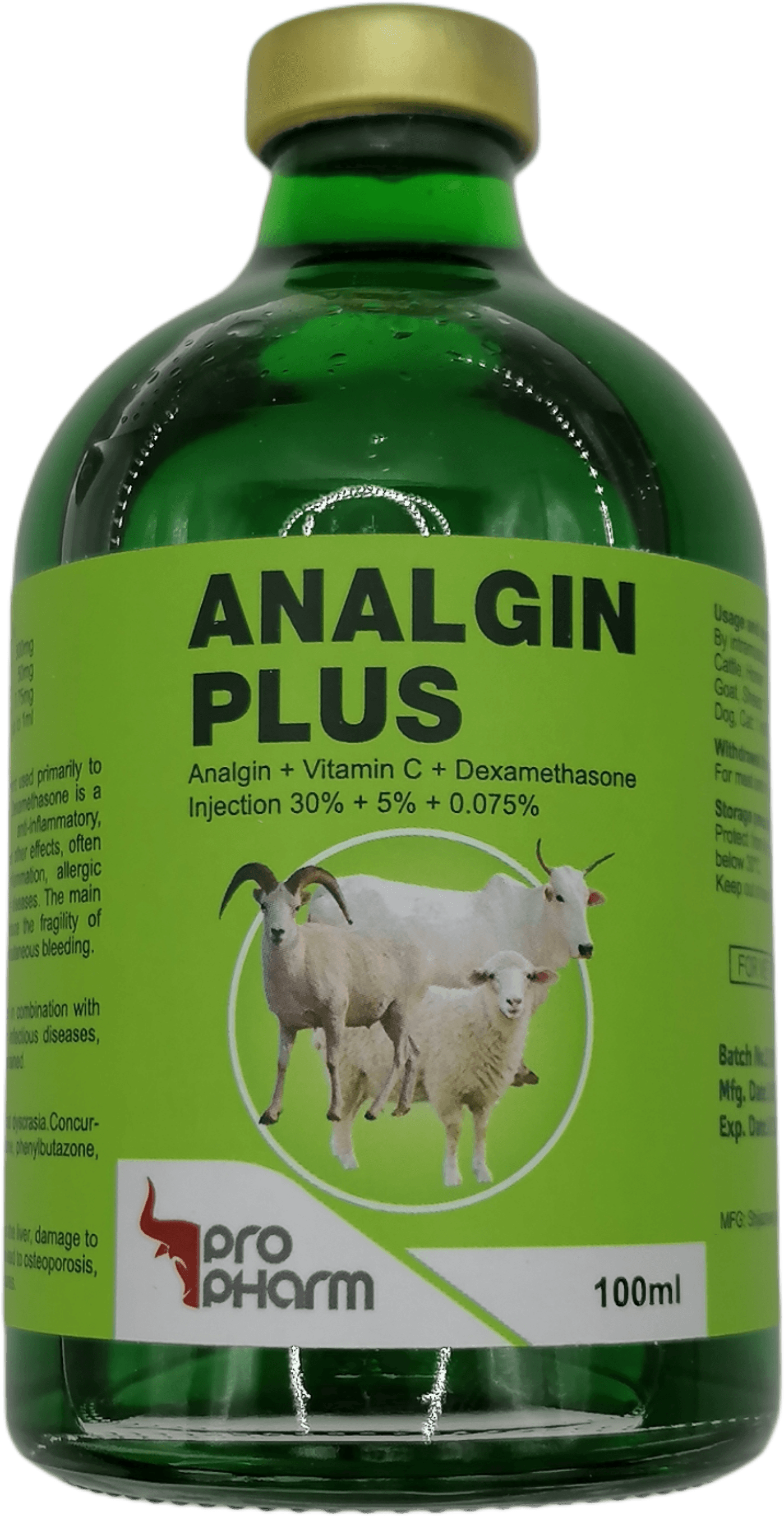analginPlus