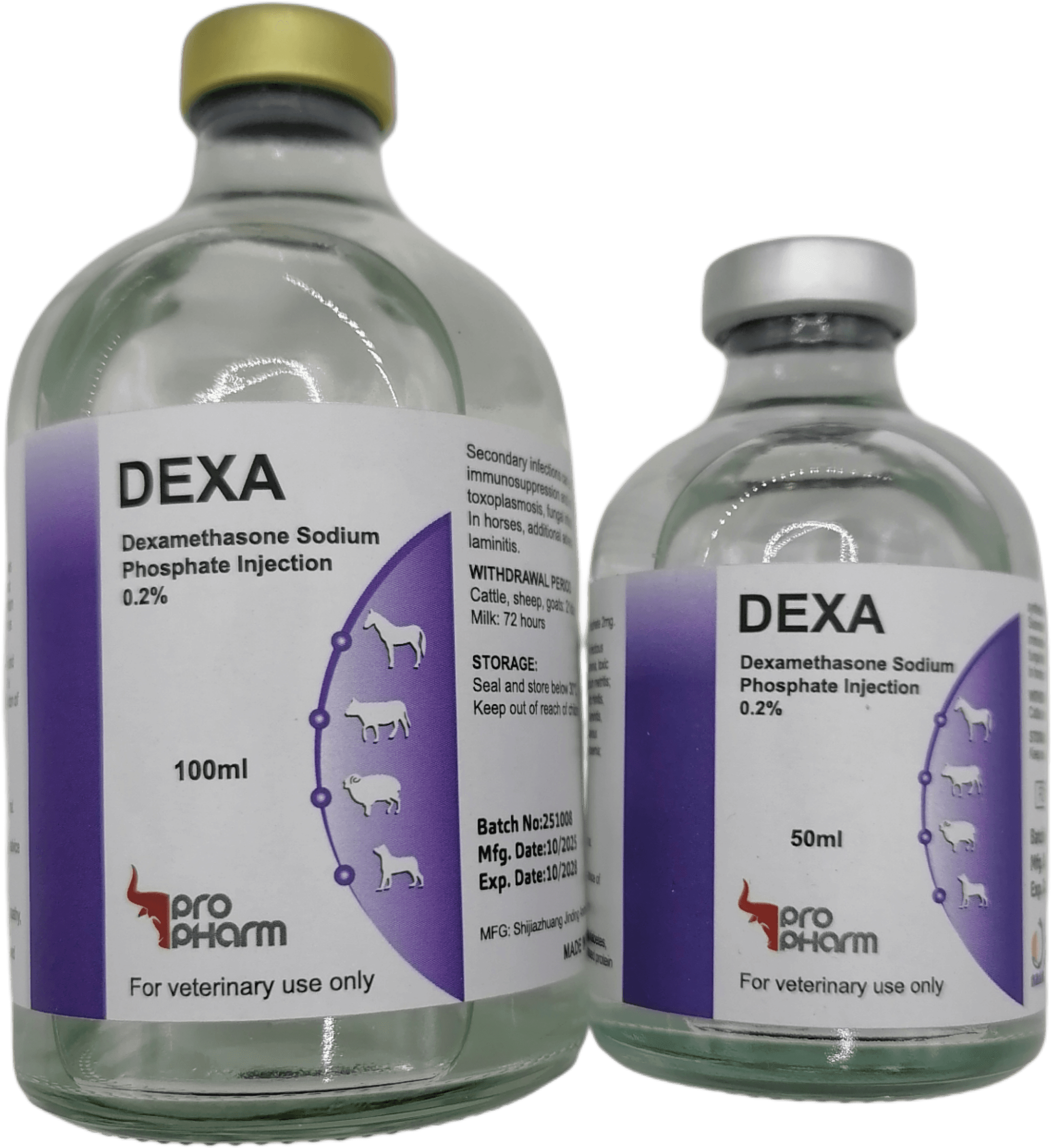 dexa