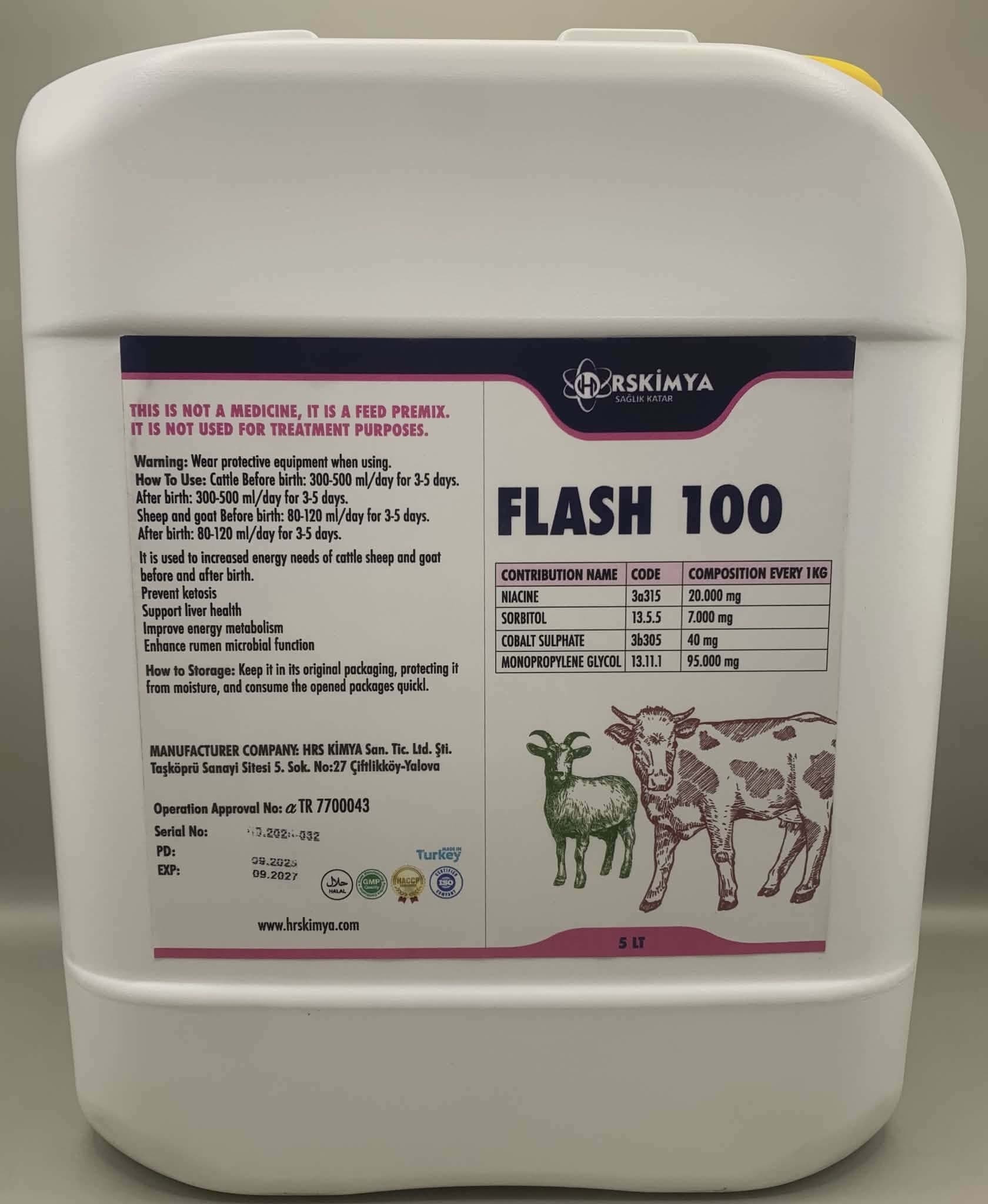 Flash 100